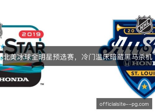 北美冰球全明星预选赛，冷门温床暗藏黑马杀机
